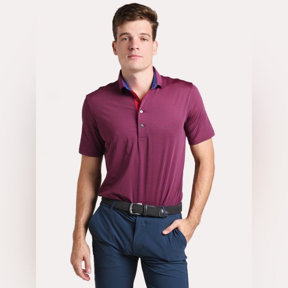 Greyson Men’s Saranac Short Sleeve Golf Polo Purple Stripe Shirt Breathable XL‎
